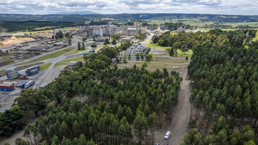 Aerial image of trees with factory buildings behind them in the distance.