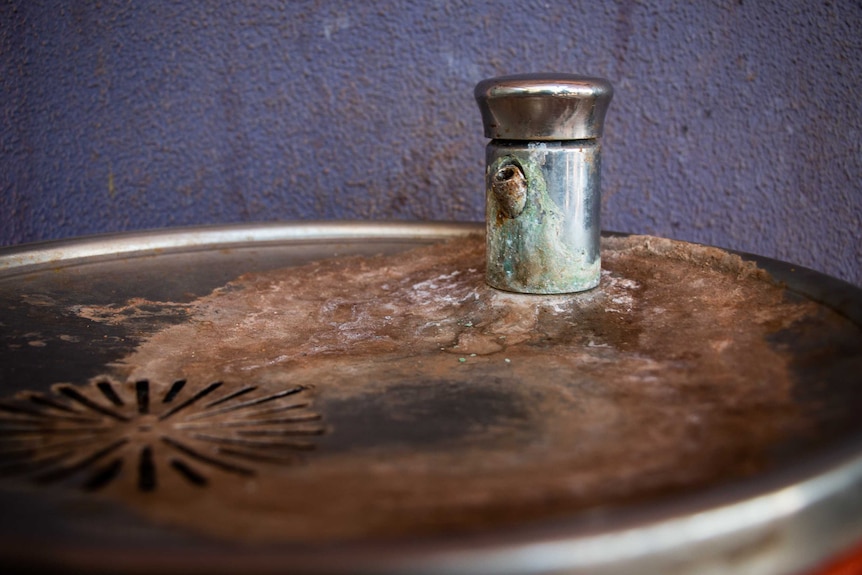 A water fountain tap with green and brown build up all over it.