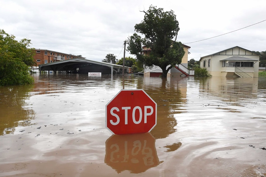 A stop sign peeks out of floodwaters in central Lismore, with flooded houses seen in the background.