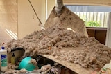 A roof inside a home has collapsed with insulation strewn across the kitchen bench.