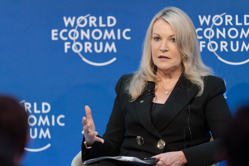 Elizabeth Gaines speaks at the World Economic Forum.