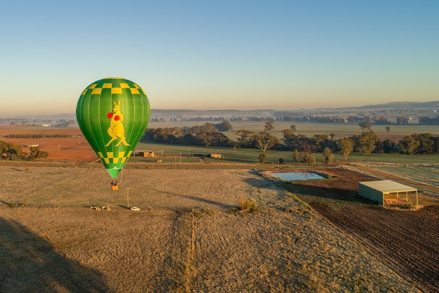 A hot air balloon with a boxing kangaroo flying over farm land 