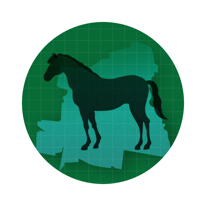 graphic with a green circle in the middle of which sits a horse