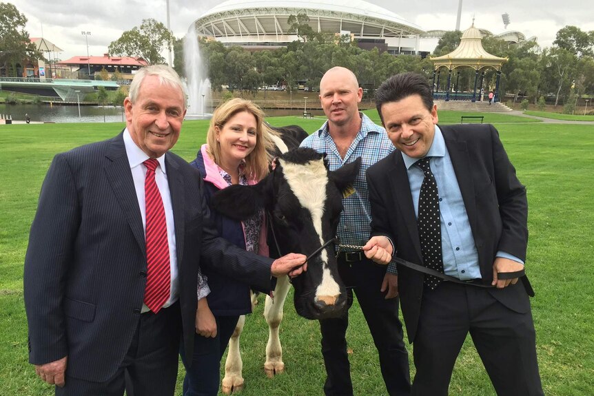 Nick Xenophon and his colleagues stand with a dairy cow outside a sports stadium. They are all smiling.