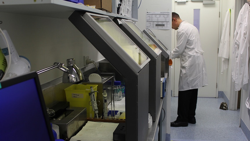 A lab worker in a white coat standing in  a hallway with lead and glass shields affixed to a workbench in the foreground.