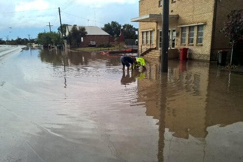 The town of Murrayville in Victoria received its wettest November day on record.