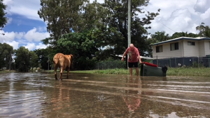 Rodney Jackson picks up a wheelie bin from receding floodwaters outside his house, a dog stands on the street watching him