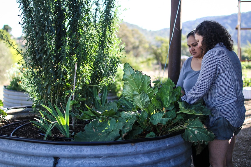 The two women looking at a vegetable plot.