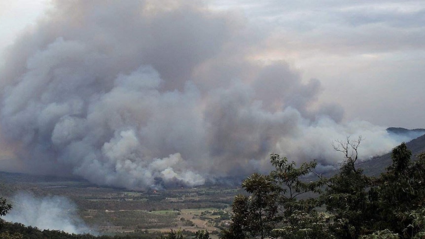 Massive smoke clouds fill the air from bushfires in central Queensland