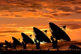 Radio telescopes sillhouted against an orange sky