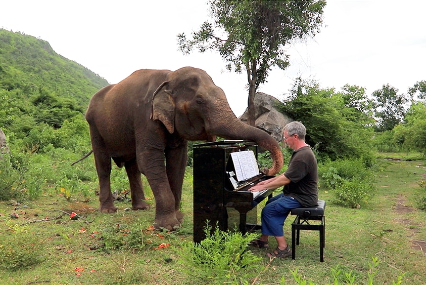 A man plays an upright piano on a mountainside. A large elephant drapes its trunk over the top of the piano.