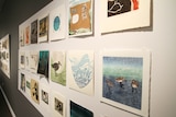 Hundreds of unique prints of birds hang on the galley walls
