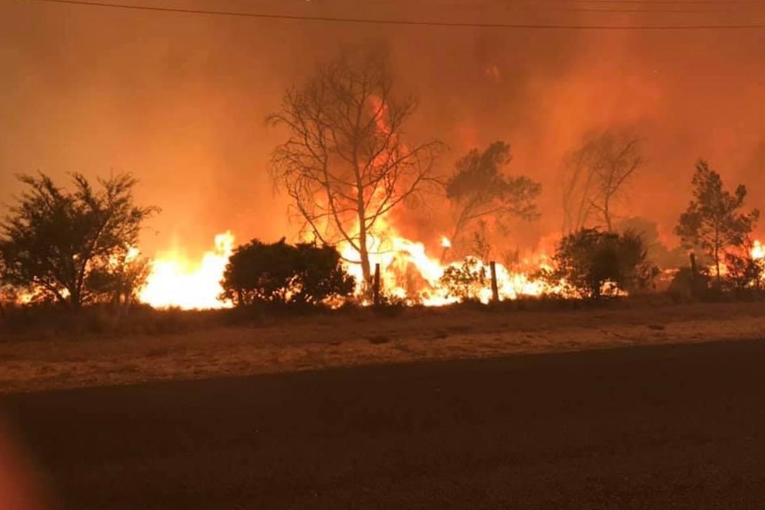 A large bushfire burns beside a country road.