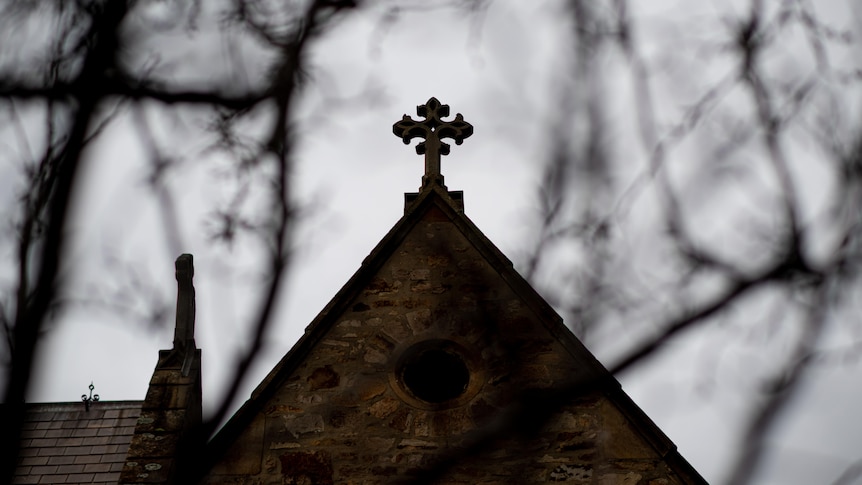 A church building with a cross shrouded under branches