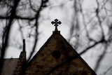 A church building with a cross shrouded under branches