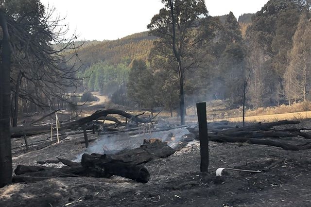 Dickensons road Glen Huon.