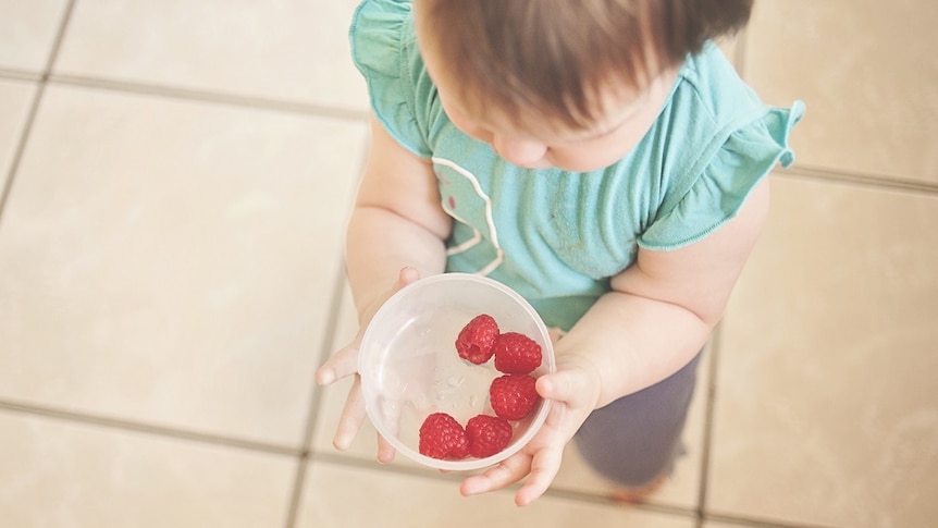 Child holding container of raspberries for story about getting fussy eaters to eat
