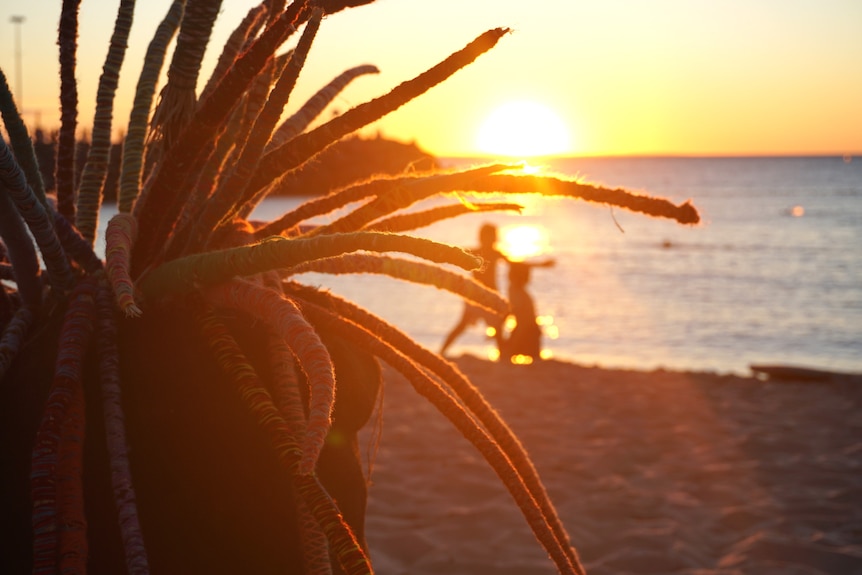 A yarn sculpture of a grass tree is silhouetted by a golden sunset by the beach.