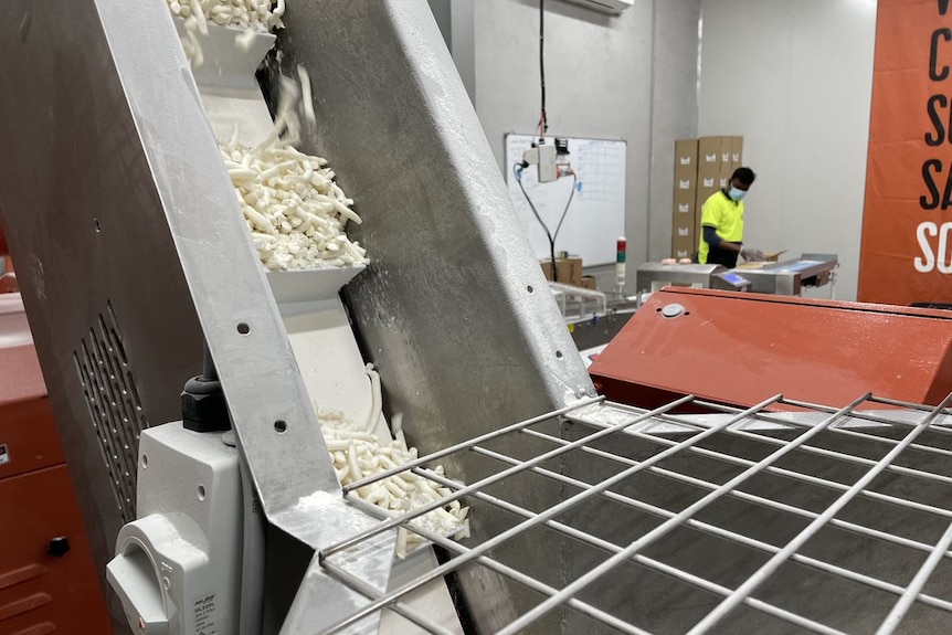 A machine moving lots of white pieces of small soap in a factory setting.