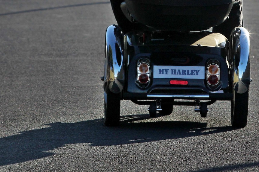 Back of scooter showing 'My Harley numberplates