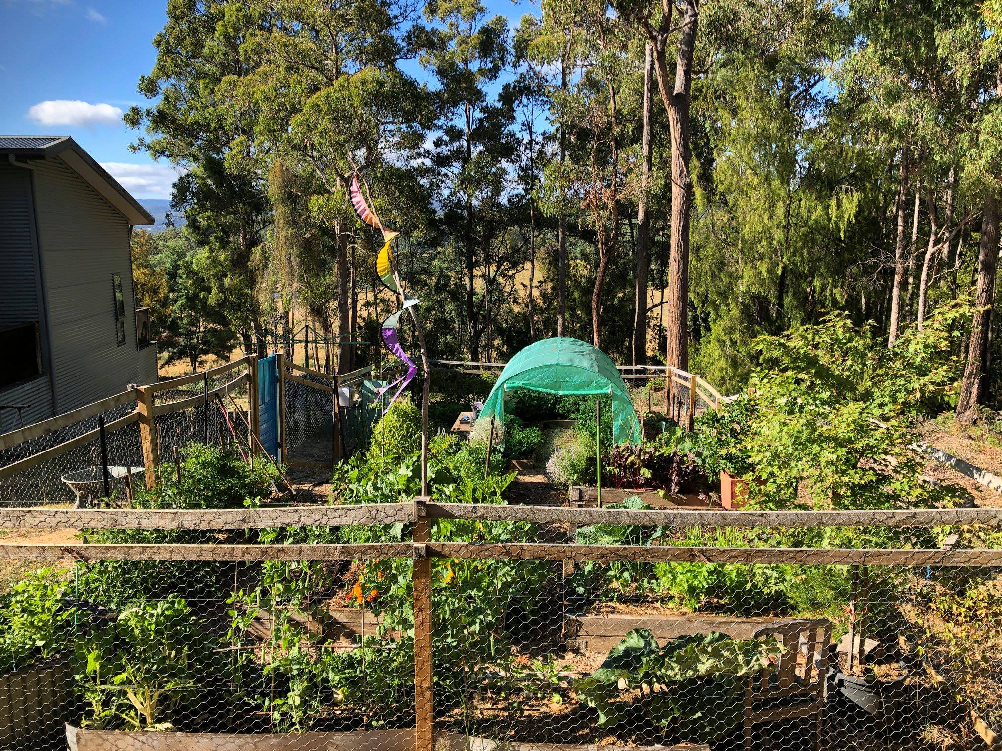 Keeping Possums Out Of Vegetable Garden Fasci Garden