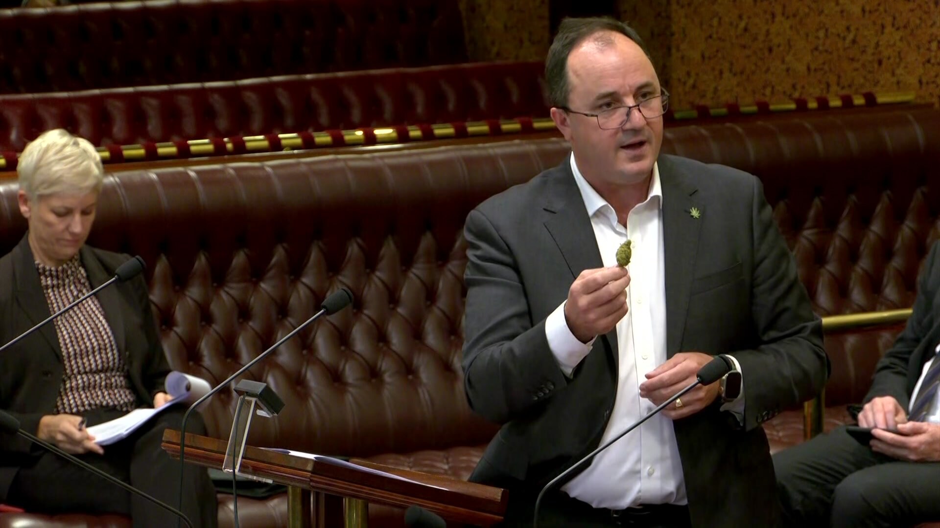 Jeremy Buckingham in a blazer, shirt and glasses holding  green cannabis in his hand
