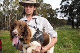 Man in an akubra stands holding an english springer spaniel dog, in front of a car with grass and trees behind him.