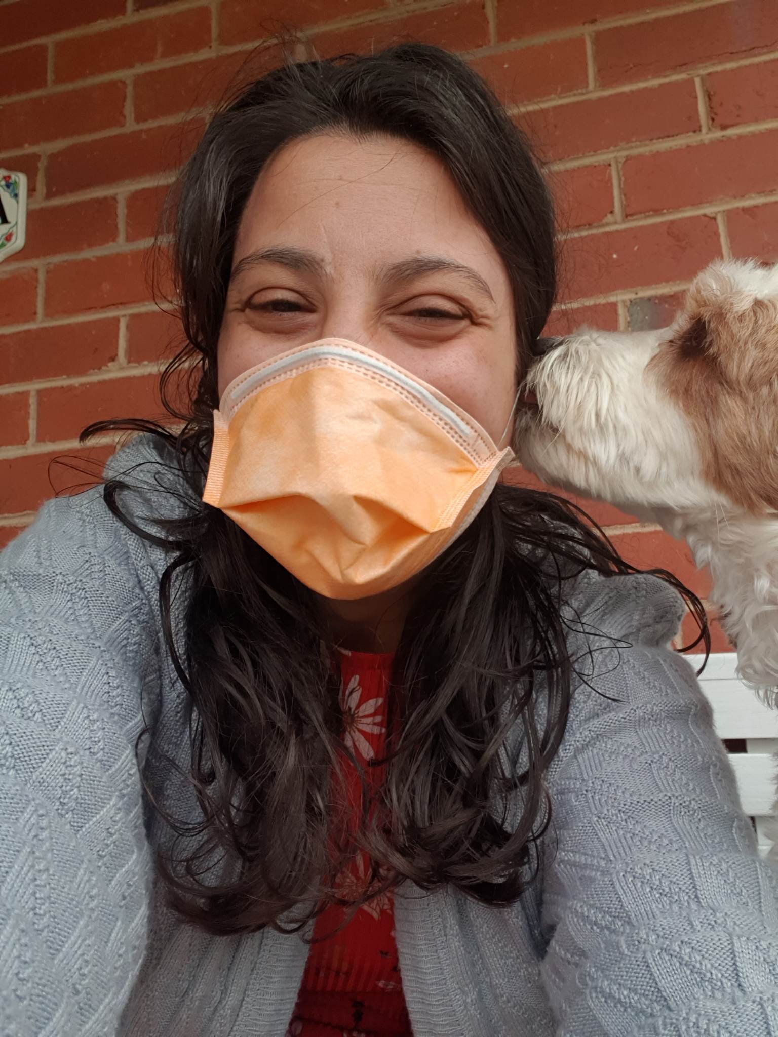Close up of Laura, her dark hair around her shoulders and a surgical mask on. A brown and white dog sniffs her cheek. 