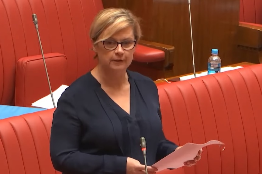 A woman stands amongst the red chairs of parliament