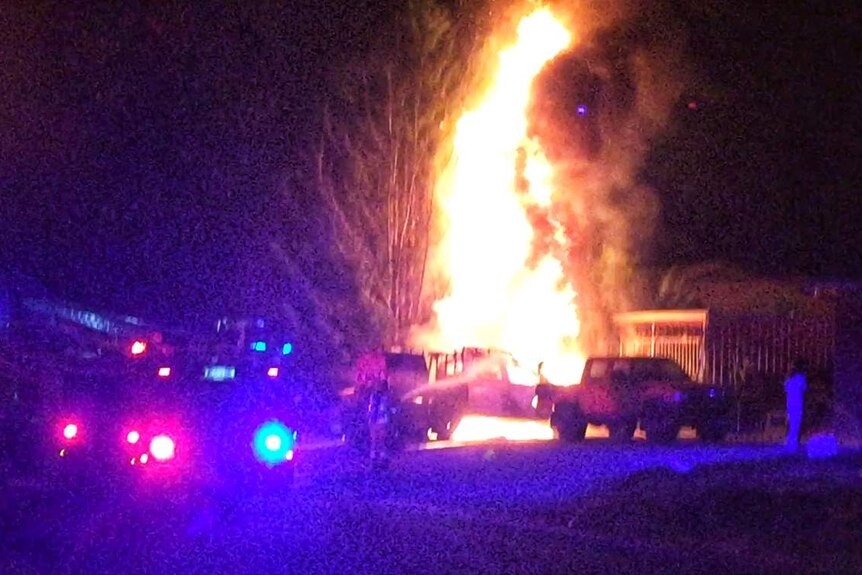 A tree nearby two cars on fire catches alight at night.