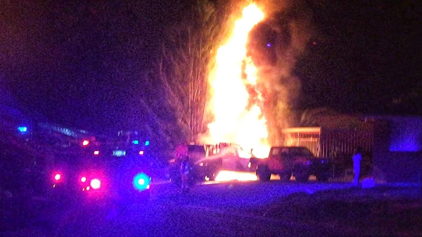 A tree nearby two cars on fire catches alight at night.
