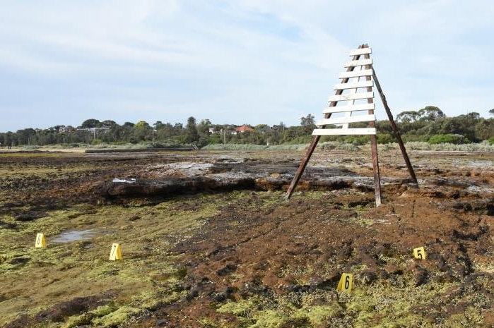 Yellow numbered plastic evidence cards are laid out over a flat stretch of rock pools.