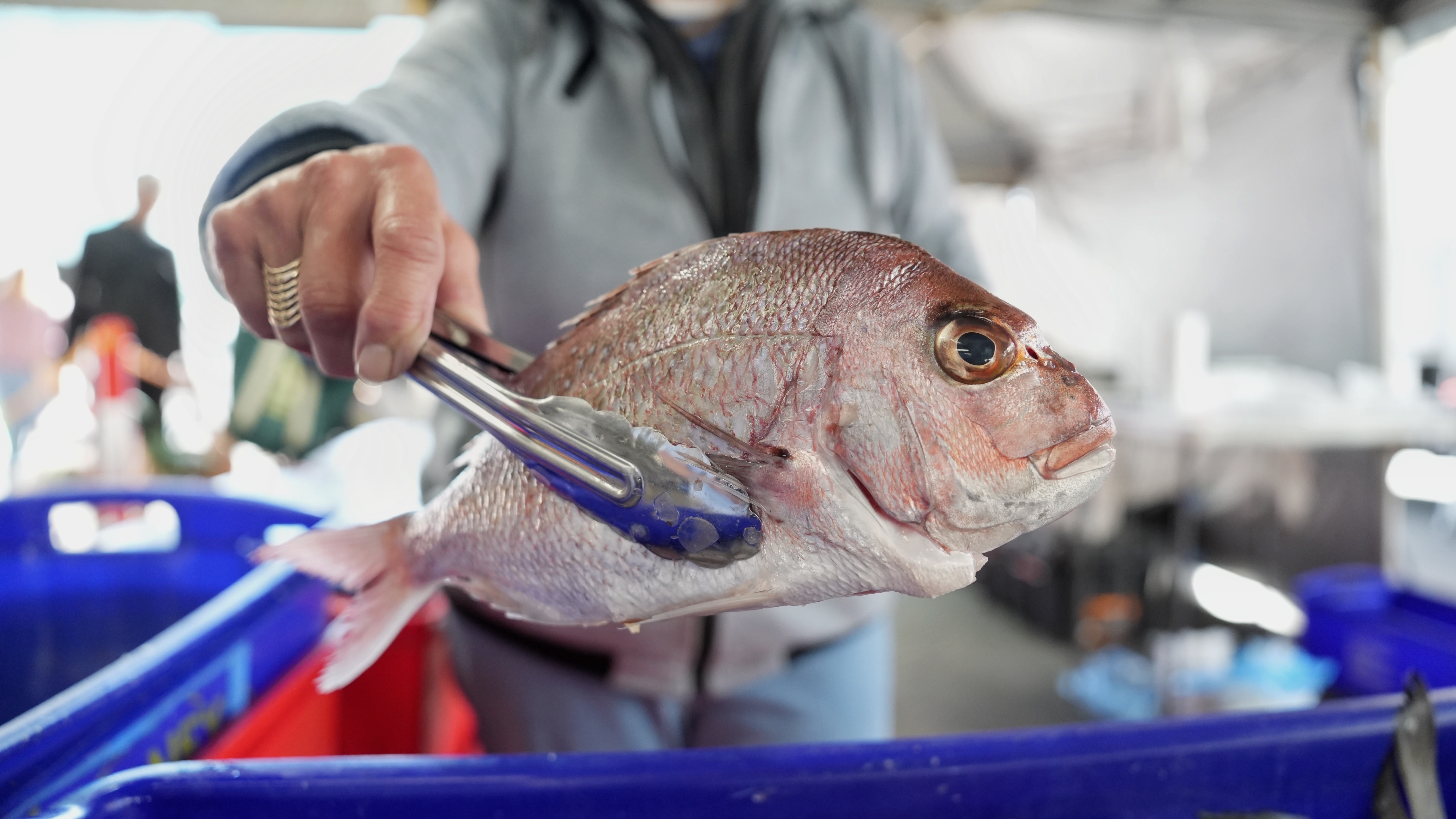 'Scary': Farmers and fishers face uncertain future as costs soar