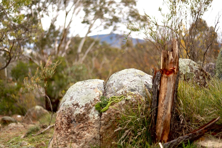 A rock with a deep line carved through its middle points to a distant mountain.