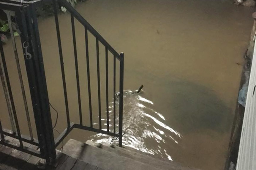 Water at the bottom of a home's backyard steps.
