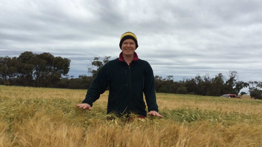 Man standing in a crop of barley.