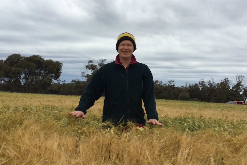 Man standing in a crop of barley.