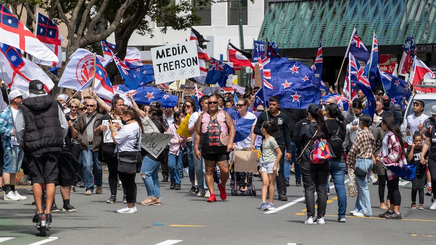 A crowd of people on a road carrying flags and placards, including one with the words MEDIA TREASON and swastikas  