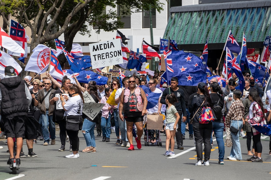 A crowd of people on a road carrying flags and placards, including one with the words MEDIA TREASON and swastikas  