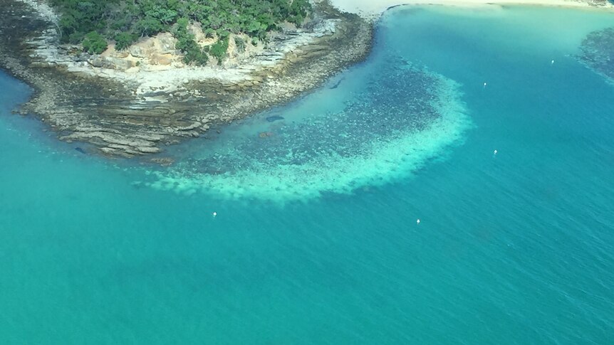 Aerial view of coral bleaching 