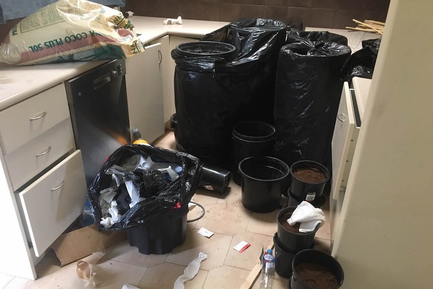 Kitchen of a Perth rental property used as a Cannabis farm.
