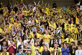 Excited Wellington Phoenix fans in a grandstand cheering.