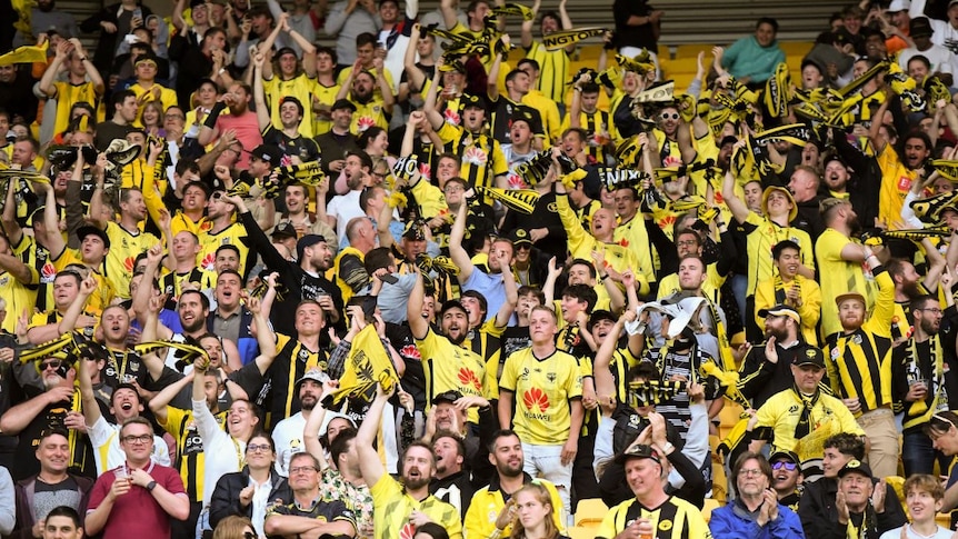 Excited Wellington Phoenix fans in a grandstand cheering.