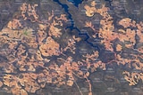 An aerial shot of a sprawling mine in a forest