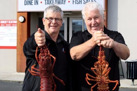 Photograph of two men holding large lobsters in front of them.