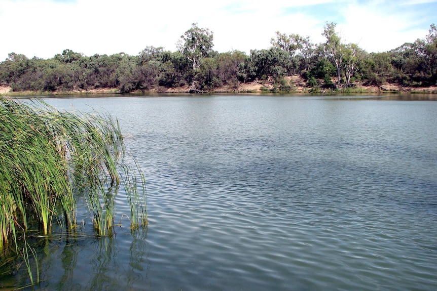 The NSW government has proposed to build a pipeline from the Murray River to Broken Hill.