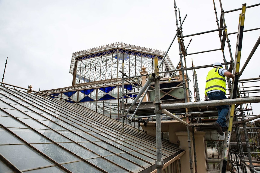 Roof of Adelaide Botanic Gardens palm house