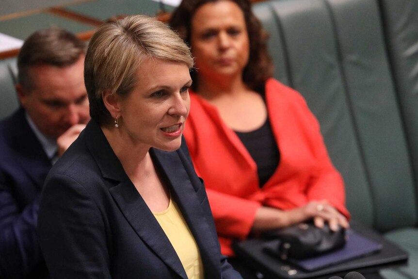 Tanya Plibersek at the despatch box in the House of Representatives. Chris Bowen and Michelle Rowland are sitting behind her.