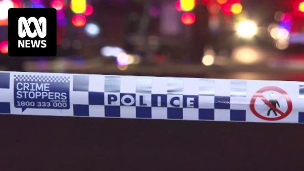 Police arrest four teenagers after carjacking at knifepoint in north-west New South Wales