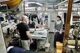 A bald man in black tshirt and woman with long dark hair and grey jumper work in a drycleaning facility surrounded by machinery.